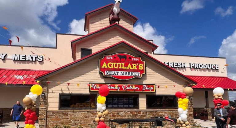 Screenshot 2025 09 17 184108 768x417