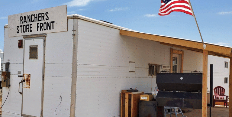 Screenshot 2025 09 18 151545 768x387