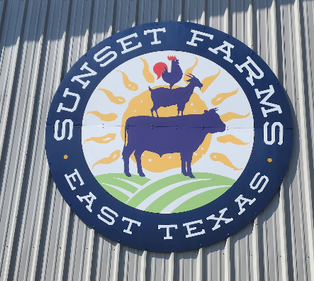 Screenshot 2025 09 18 175936