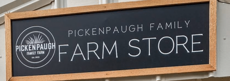 Screenshot 2025 09 18 180832 768x273