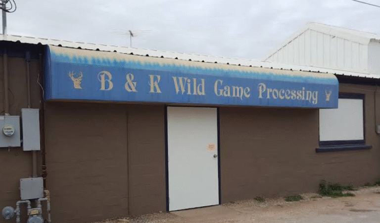 Screenshot 2025 09 18 232004 768x450