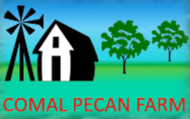 Screenshot 2025 09 20 184428