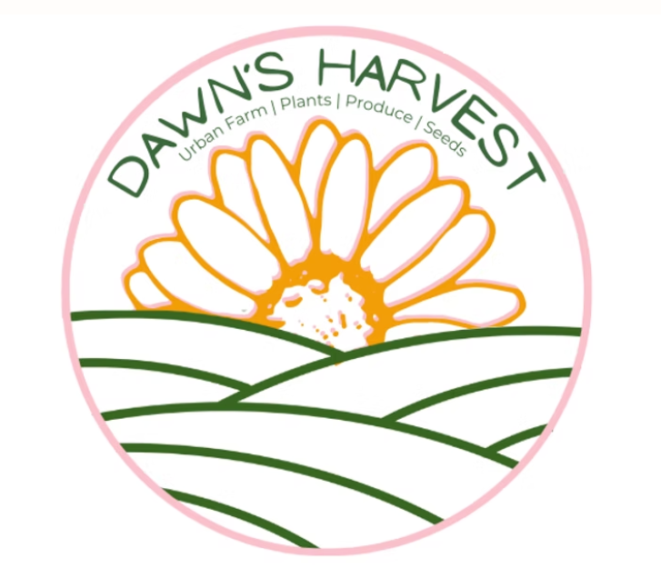 Screenshot 2025 09 20 193335