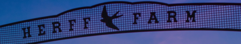 Screenshot 2025 09 20 195938 768x142