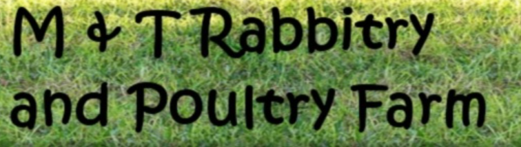 Screenshot 2025 09 20 201951