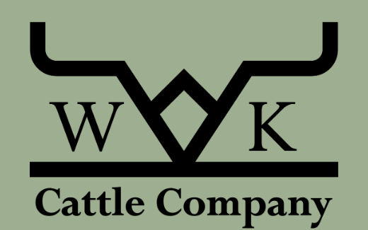 Screenshot 2025 09 22 184930