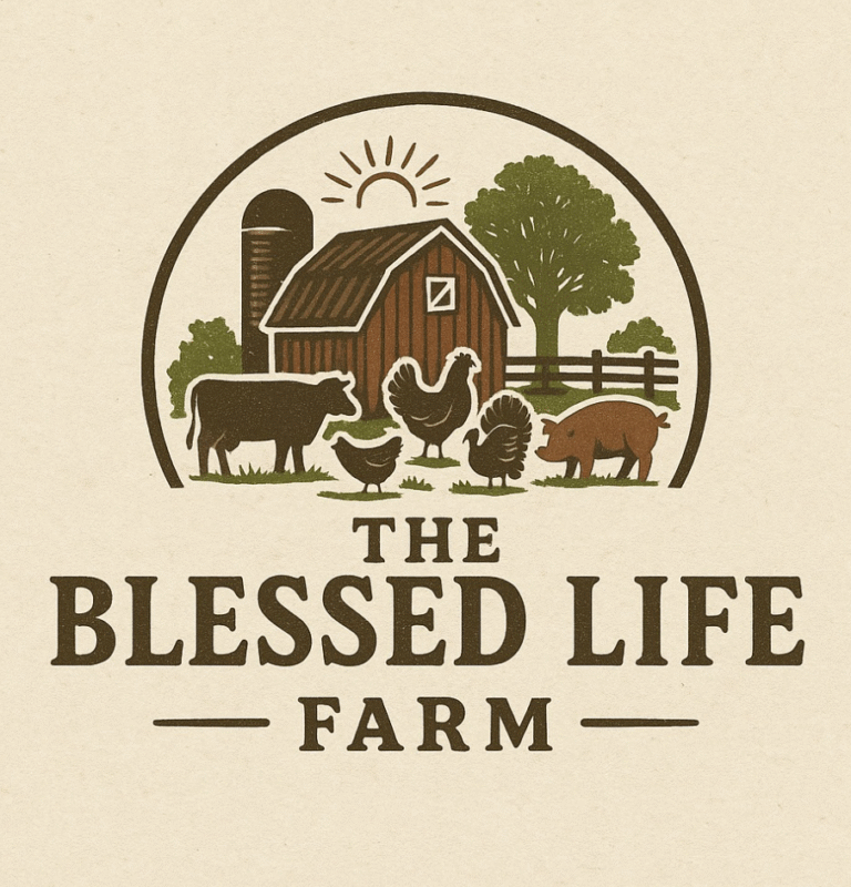 Screenshot 2025 09 23 153300 768x800