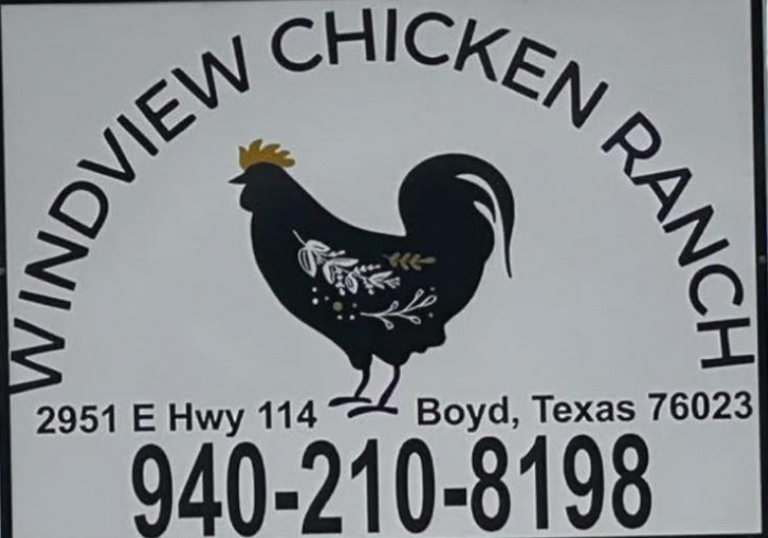 Screenshot 2025 09 23 154157 768x538