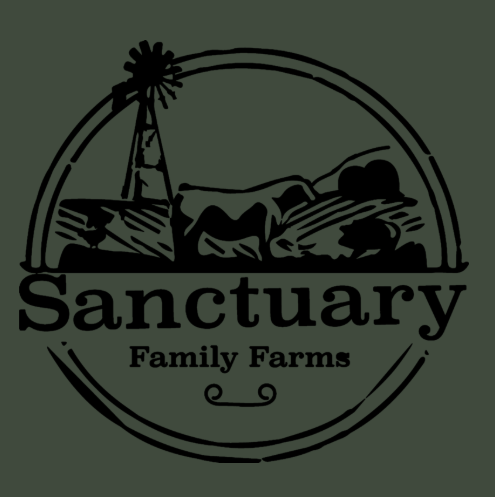 Screenshot 2025 09 26 144406