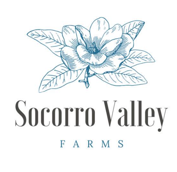 Screenshot 2025 09 26 152850