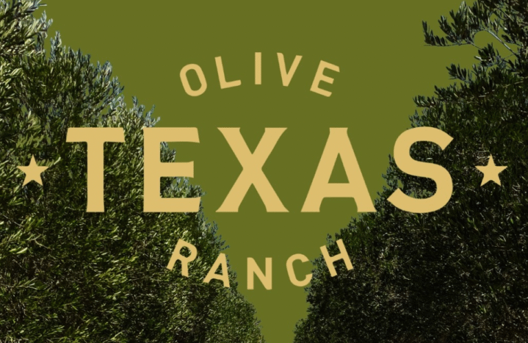 Screenshot 2025 09 26 155619 768x499