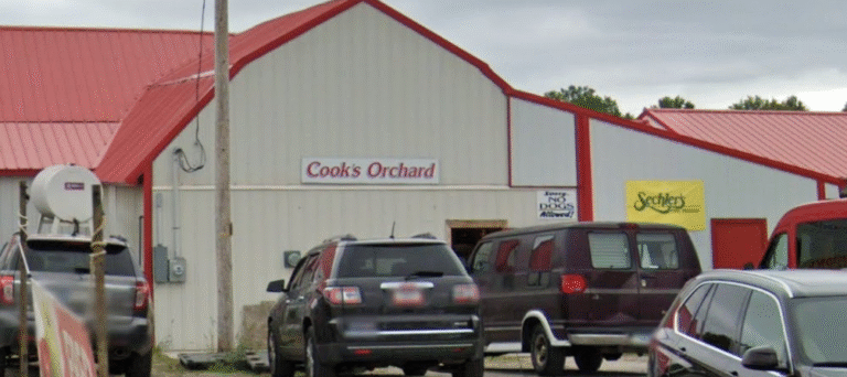 Screenshot 2026 01 09 181934 768x342